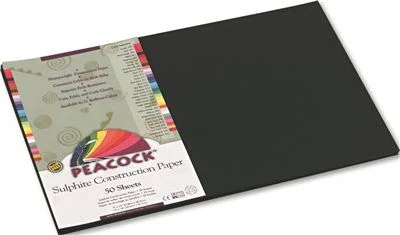 Industrial - style track lighting for loftsTrack lighting for outdoor gardensPeacock Sulphite Construction Paper 76 Lbs. 12 X 18 Black 50 Sheets/Pack