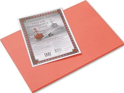 Track lighting for highlighting kitchen cabinetsTrack lighting for small apartmentsRiverside Construction Paper 76 Lbs. 12 X 18 Orange 50 Sheets/Pack