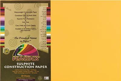 Track lighting for creating a focal pointTrack lighting with frosted glass shadesPeacock Sulphite Construction Paper 76 Lbs. 12 X 18 Gold 50 Sheets/Pack