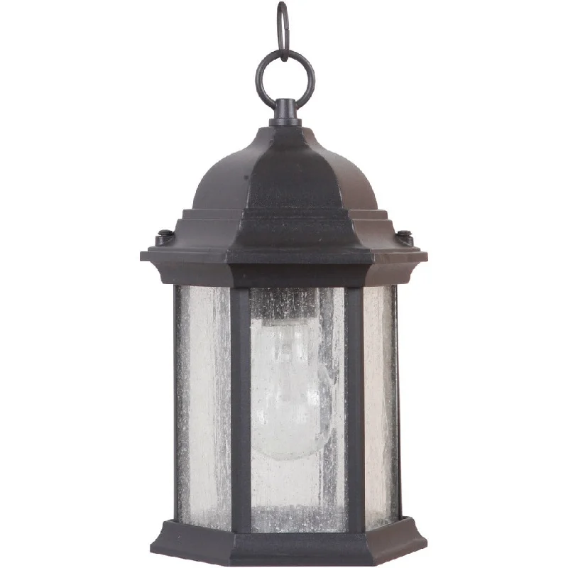 Industrial Task Lighting for Precision WorkstationsHex Style Cast 1 Light Outdoor Pendant in Textured Black (Clear Seeded Glass)