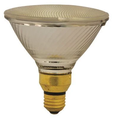 Track lighting for creating a focal pointTrack lighting for creating a focal pointSylvania Capsylite Halogen Flood Lamp Par38 39 Watt 120 Volts Medium Skirted 25 Deg. Beam Angle