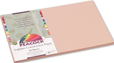 Track lighting with swivel heads for precise aimingTrack lighting with energy - star certificationPeacock Sulphite Construction Paper 76 Lbs 12X18 Light Brown 50 Sheets/Pack