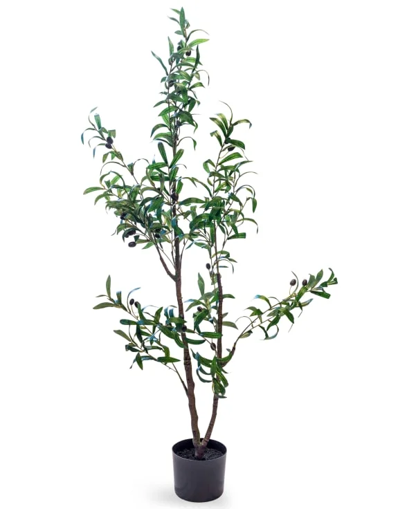 Track lighting with a long - lasting lifespanOutdoor - rated track lighting for patiosLarge Ornamental Potted Olive Tree