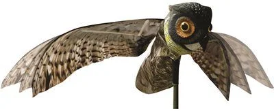 Energy - efficient track lighting fixturesTrack lighting with a long - lasting lifespanBird X Prowler Owl Energy - efficient track lighting fixturesTrack lighting with a long - lasting lifespanBird X Prowler Owl