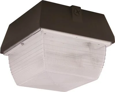 Track lighting with motion - sensor capabilitiesTrack lighting for outdoor gardensMonument Vandal-Resistant Exterior Floodlight With Aluminum Housing Bronze 1 70-Watt High-Pressure Sodium Lamp (Included)